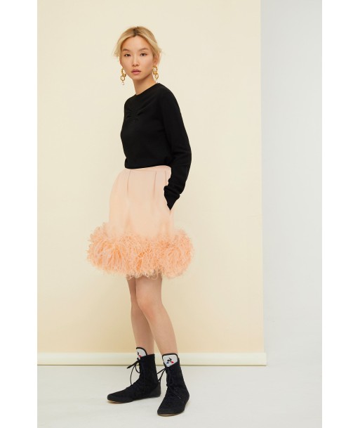 Feather-embellished pleated skirt france