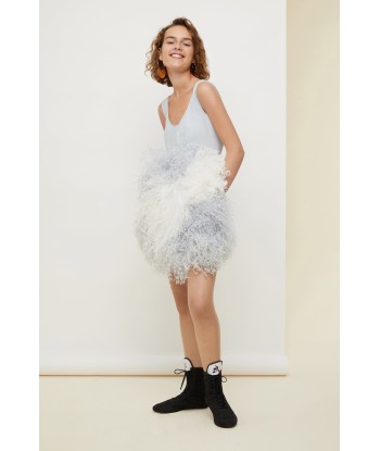 Feather-embellished dress Comparez plus de prix