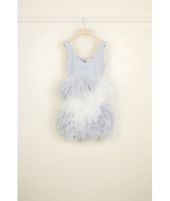 Feather-embellished dress Comparez plus de prix