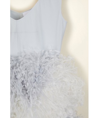 Feather-embellished dress Comparez plus de prix