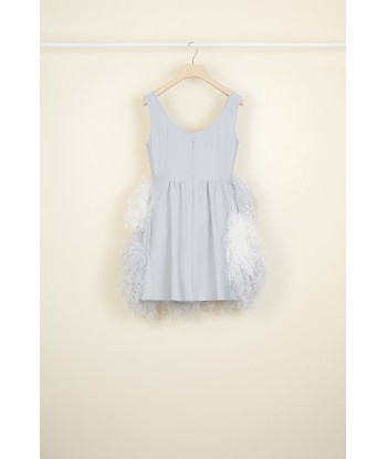 Feather-embellished dress Comparez plus de prix