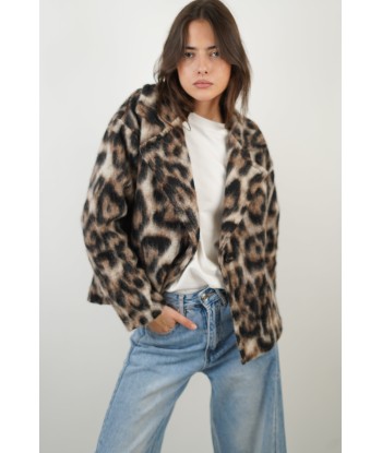 Brown Leopard Coat Jusqu'à 80% De Réduction