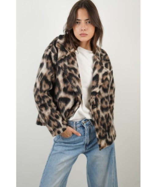 Brown Leopard Coat Jusqu'à 80% De Réduction