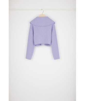 Zip-up collar rib knit jumper in Merino wool Venez acheter