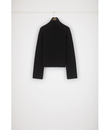 Rib knit turtleneck jumper in Merino wool Venez acheter