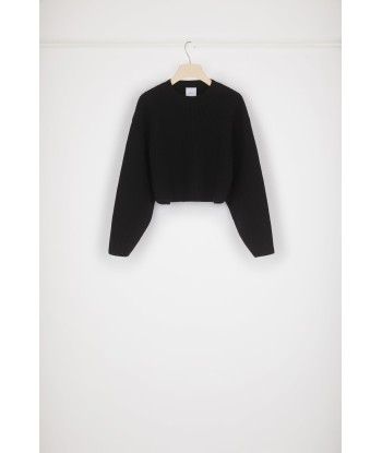 Cropped rib knit jumper in Merino wool l'évolution des habitudes 